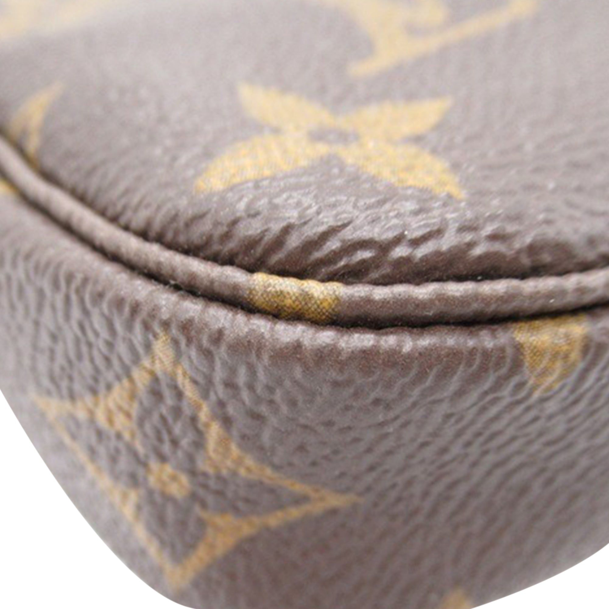 Louis Vuitton Pochette Accessoires Mini Monogram Canvas