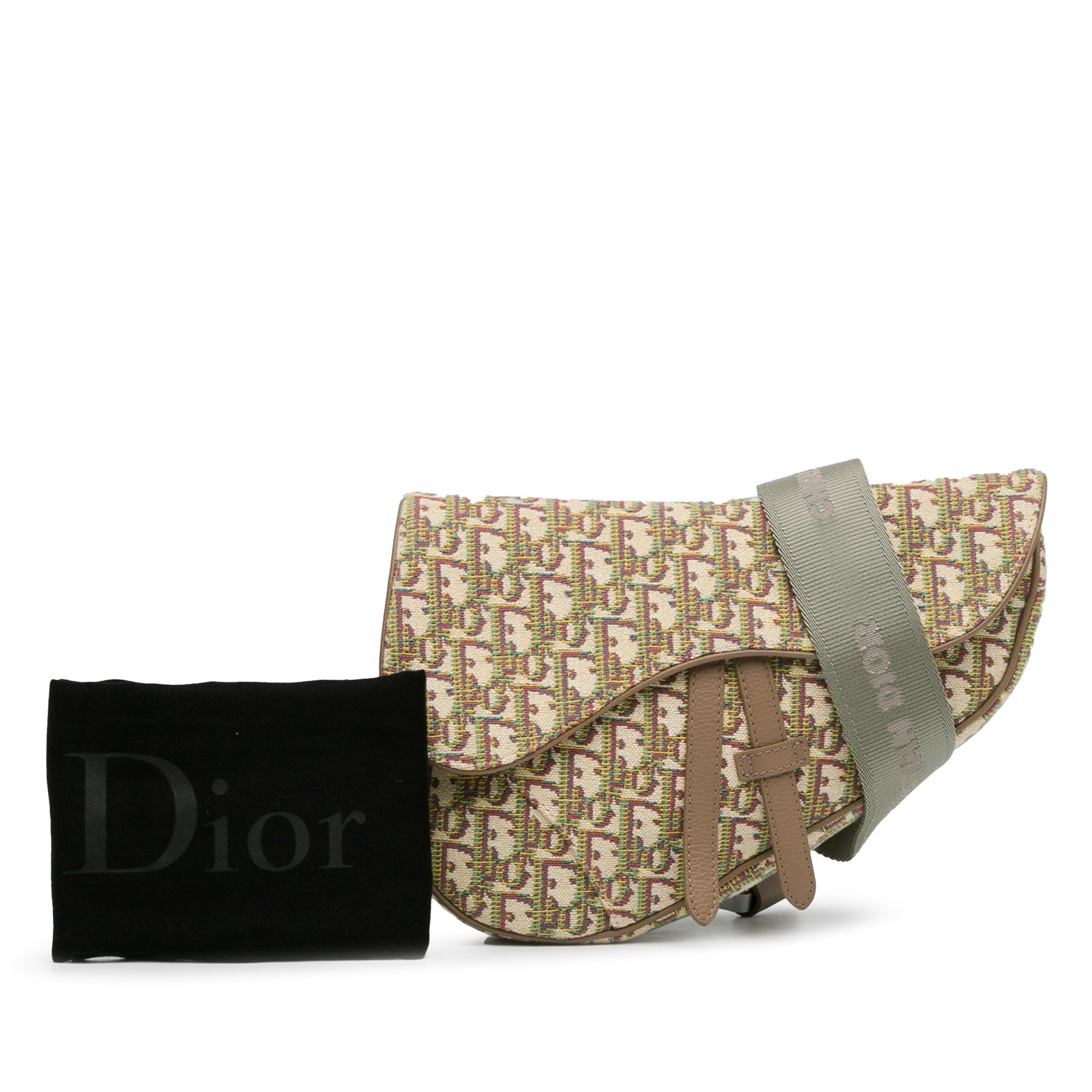 Dior Saddle Bag Multicolor Oblique Canvas