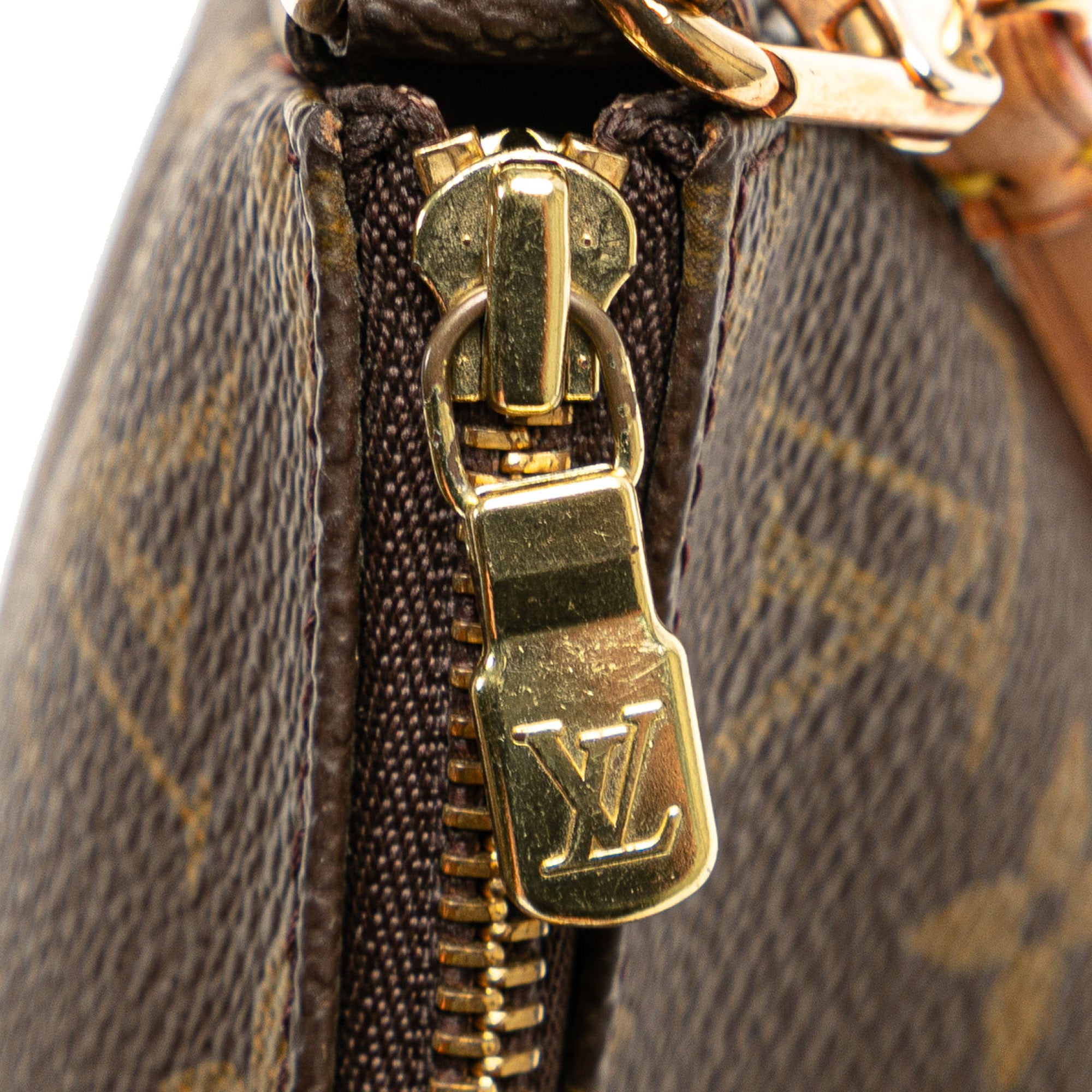 Louis Vuitton Pochette Accessoires Monogram Canvas